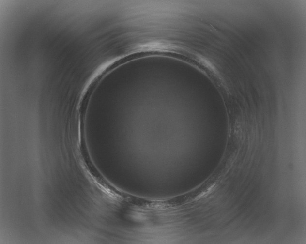 X0000060761323200511101129