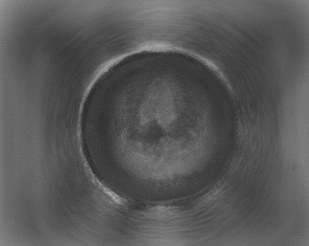 X0000060761327200511101130