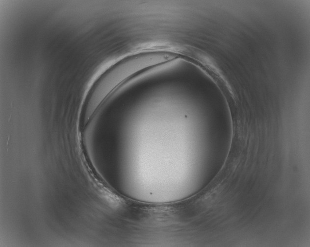 X0000060761328200511101130