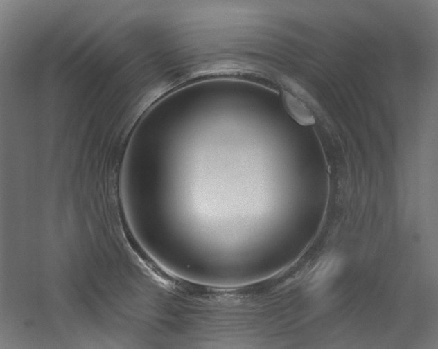 X0000060761329200511101130