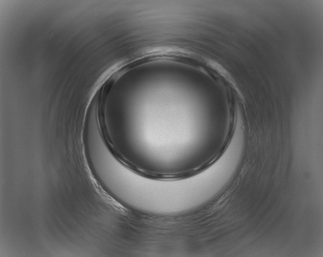 X0000060761330200511101130