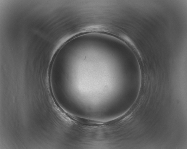 X0000060761336200511101130