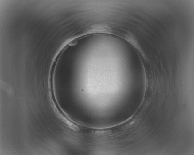 X0000060761339200511101130