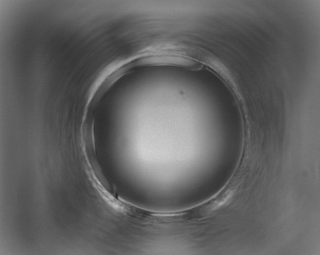 X0000060761344200511101130