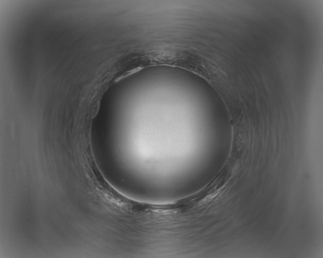 X0000060761345200511101129