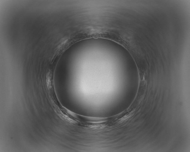 X0000060761348200511101129