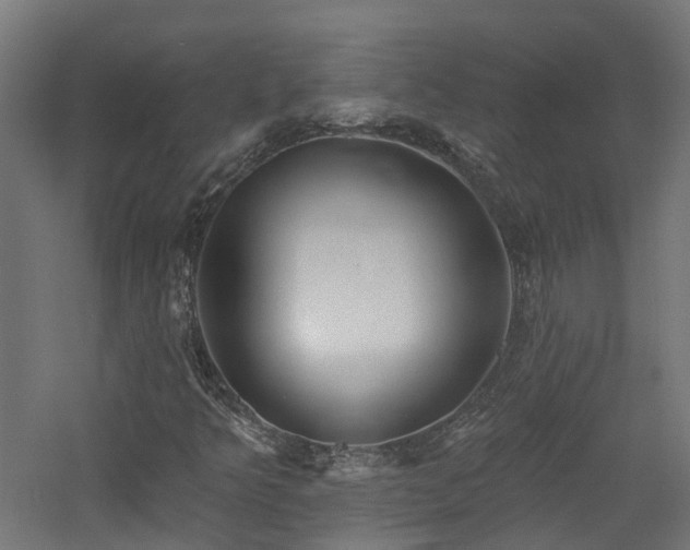 X0000060761349200511101129