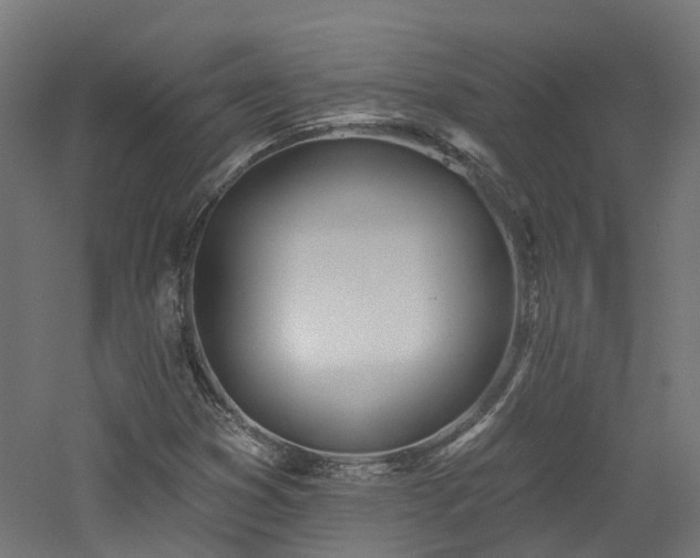 X0000060761353200511101129