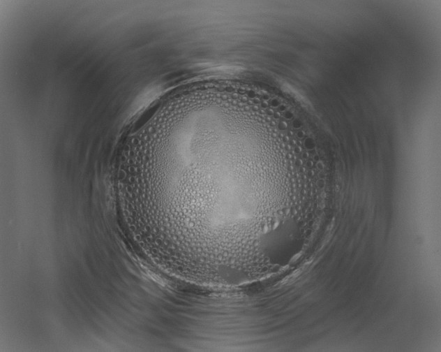 X0000060761354200511101129