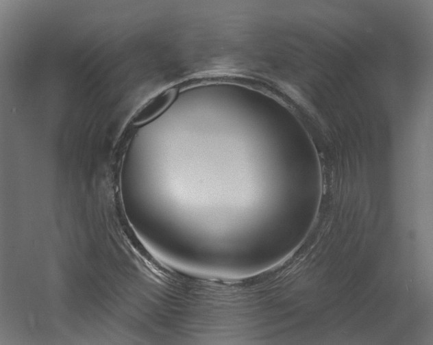 X0000060761356200511101129
