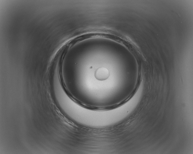 X0000060761360200511101129