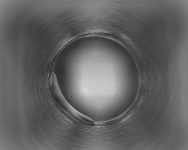 X0000060761361200511101129