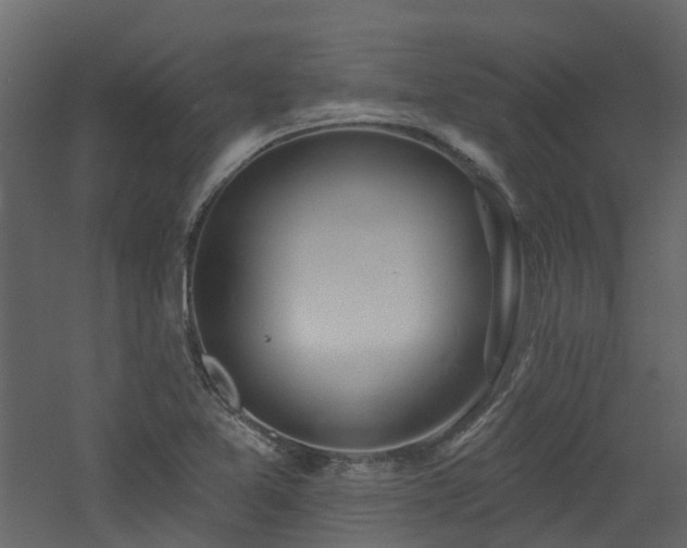 X0000060761365200511101129