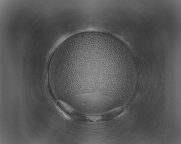 X0000060761367200511101129