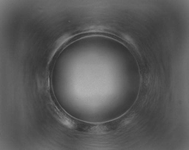X0000060761368200511101129