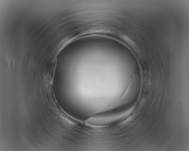 X0000060761369200511101129
