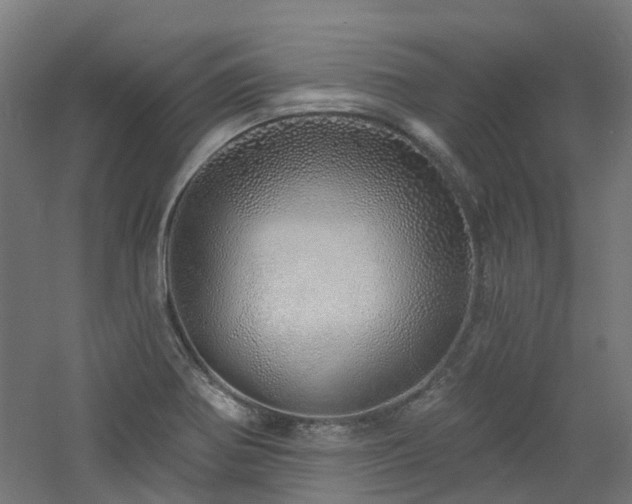 X0000060761370200511101129