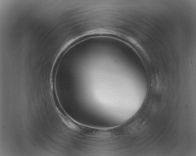 X0000060761372200511101129