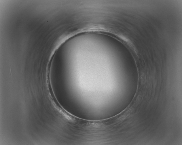 X0000060761374200511101129