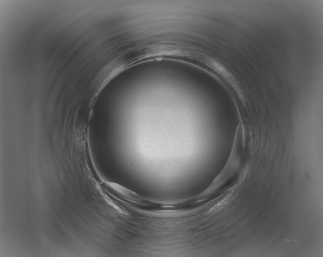 X0000060761377200511101128