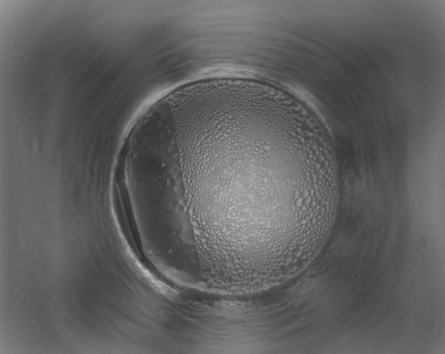 X0000060761379200511101128