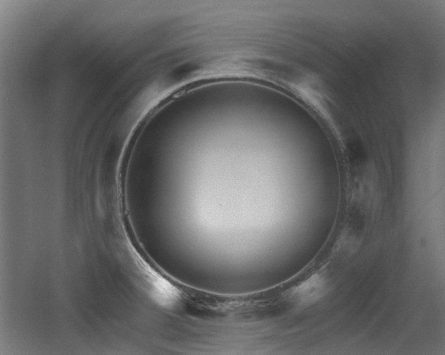 X0000060761380200511101128