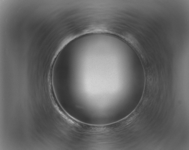 X0000060761382200511101128