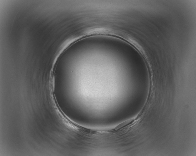 X0000060761392200511101128