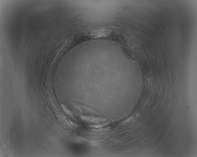 X0000060761393200511101127