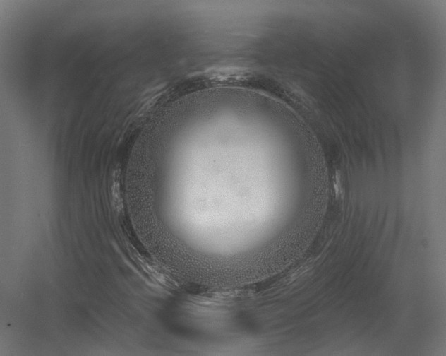 X0000060761396200511101127