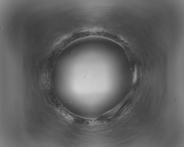 X0000060761398200511101127