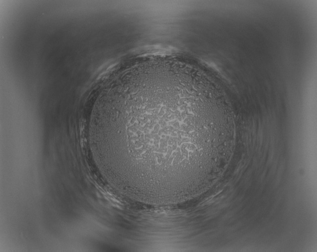 X0000060761399200511101127