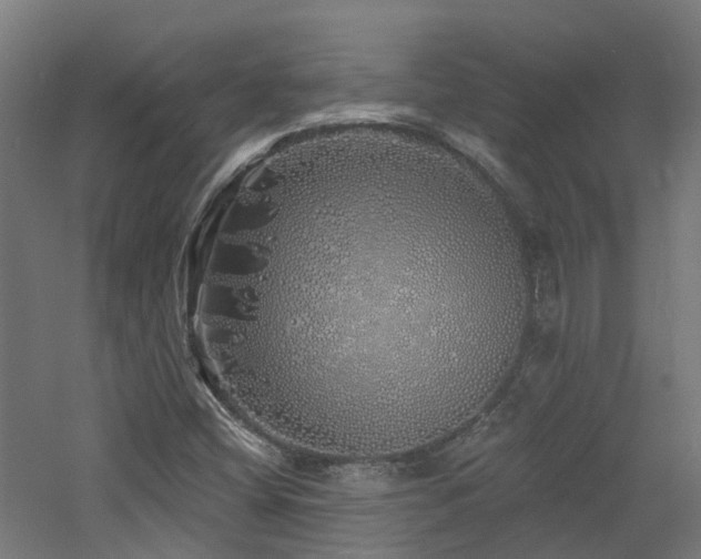 X0000060761404200511101128