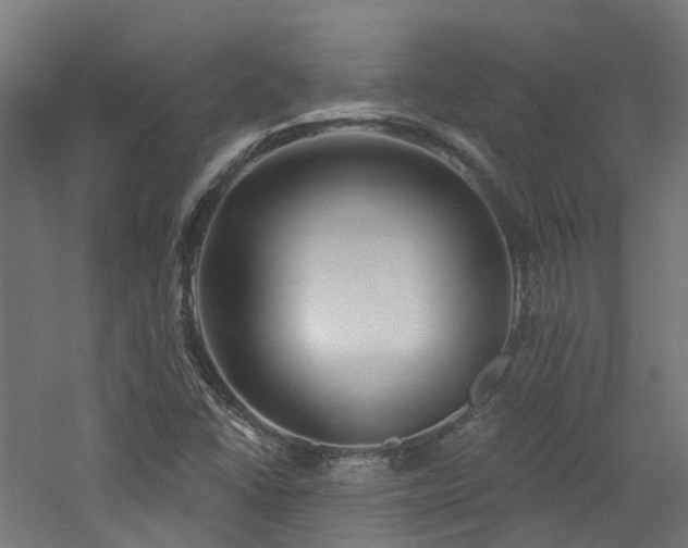 X0000060761406200511101128