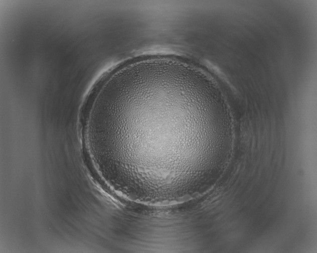 X0000060761408200511101128