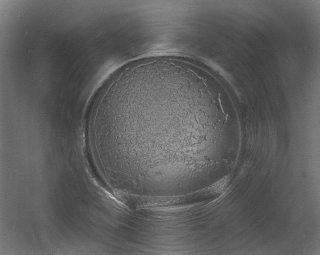 X0000060761415200511101128