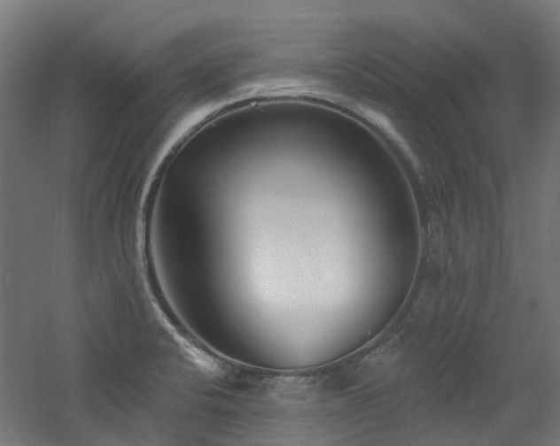 X0000060761424200511101128