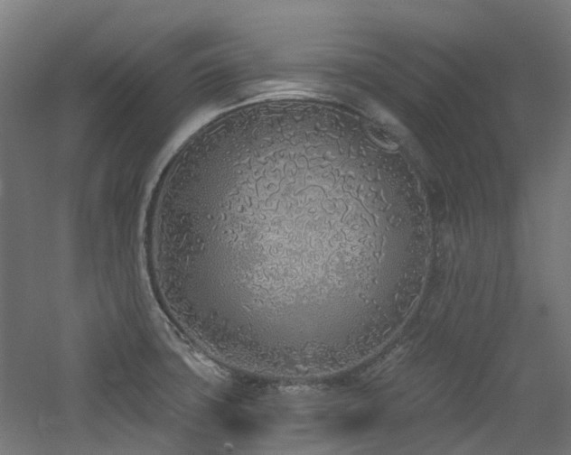 X0000060761427200511101128