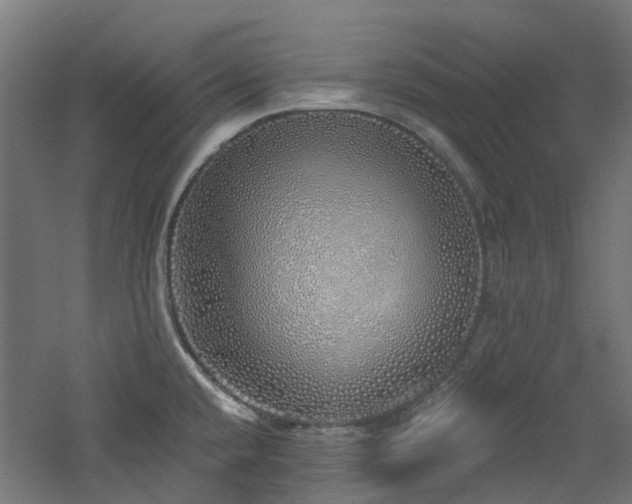 X0000060761432200511101128