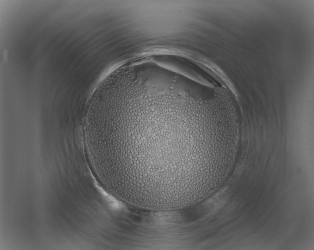 X0000060761433200511101128