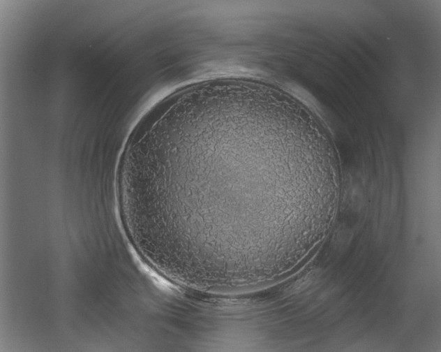 X0000060761439200511101128