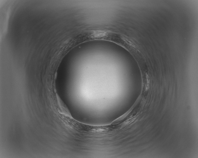 X0000060761441200511101127