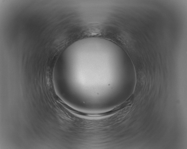 X0000060761442200511101127