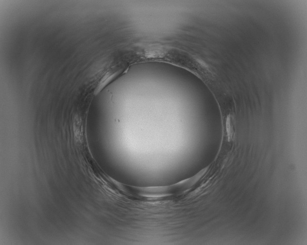 X0000060761443200511101127
