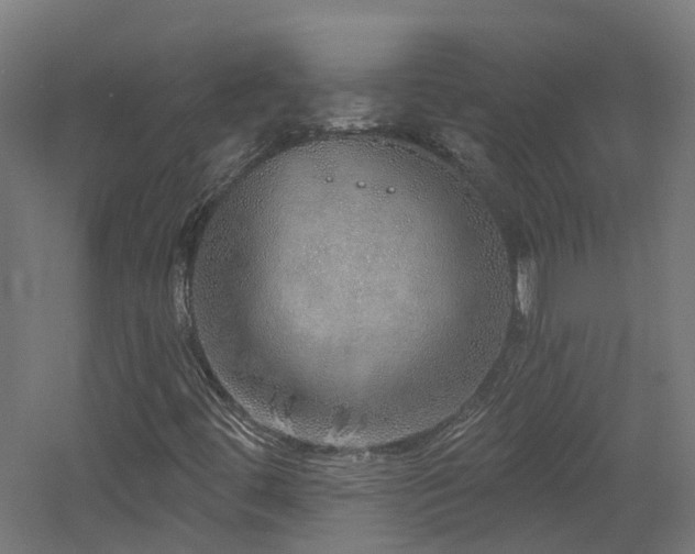 X0000060761444200511101127
