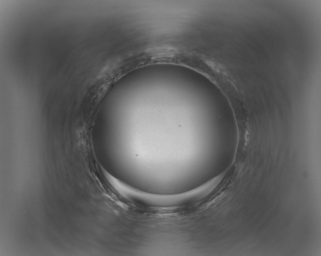 X0000060761445200511101127