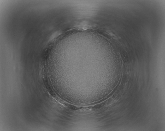 X0000060761446200511101127