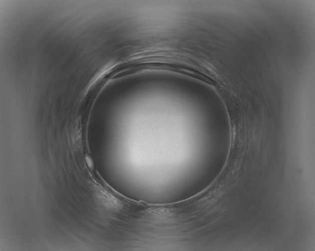 X0000060761450200511101127