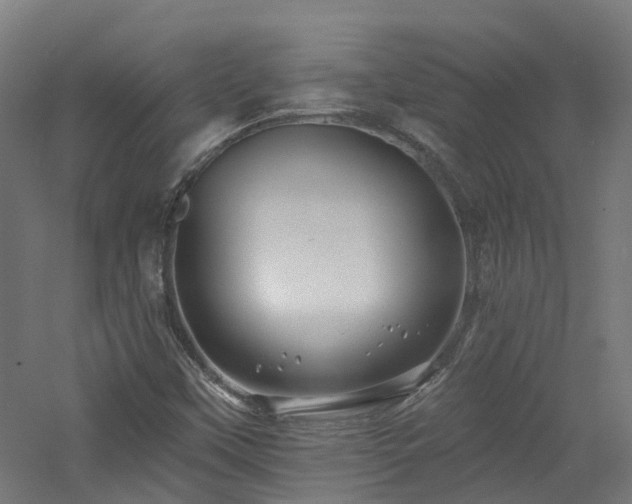 X0000060761451200511101127