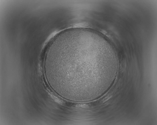 X0000060761454200511101127